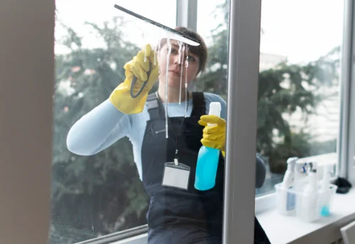 Nettoyage de vitres intérieures et extérieures à Lizant